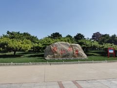 -塘沽森林公园