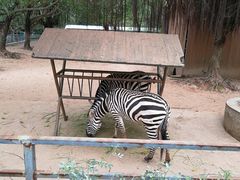 -广东茂名森林公园