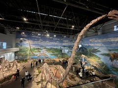 -自贡恐龙博物馆