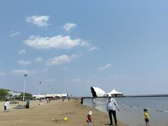 -碧海金沙