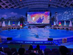 -海合安武汉极地海洋公园