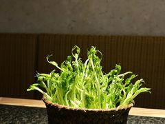 -三出山火锅(万象天地店)
