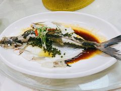 -寻味顺德·南记酒家·传统顺德菜·鱼生(广源路店)