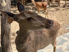 -南戴河国际娱乐中心