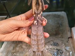 -龚记海鲜20年老字号