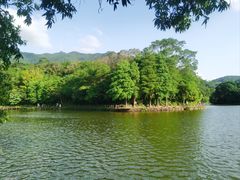 -深圳仙湖植物园