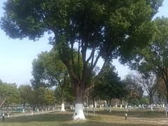 -东南大学(九龙湖校区)