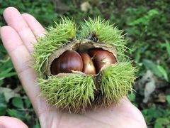 -何适山庄 ·可团建(水长城P2停车场店)