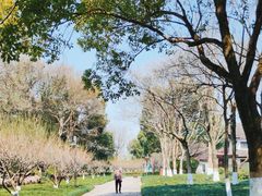 -西溪国家湿地公园