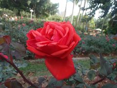 -人民公园(罗湖区)