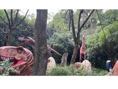 -杭州少年儿童公园