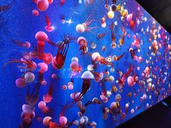 -成都浩海立方海洋公园