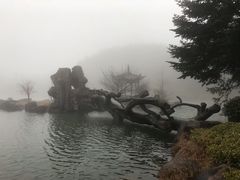 -四明山国家森林公园
