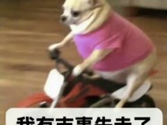 -大董(环贸iapm店)
