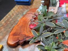 -悦真雅院·四合院·清真私房菜(雍和宫店)