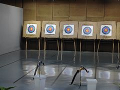 -蓝天射箭馆·专业射箭运动(诚丰广场店)