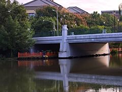 -新江湾城公园