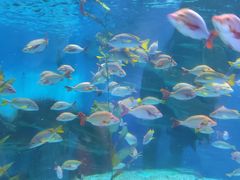 -泉城欧乐堡海洋极地世界