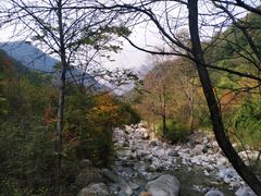 -陕西省红河谷森林公园