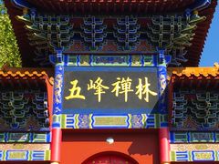 -遵化市禅林寺古银杏风景园