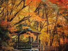 -光雾山旅游景区
