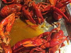 -华仔龙虾(永乐路总店)