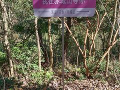 -天台山赤城山景区