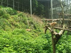 -宁波野生动物园