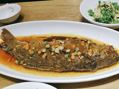 -紫光园·烤鸭(吕家营店)