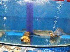 -晓伟海鲜家常菜