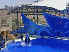 -上海海昌海洋公园