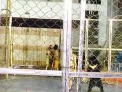 秦岭野生动物园-西安秦岭野生动物园