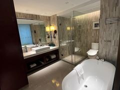 -常州环球恐龙城维景国际大酒店