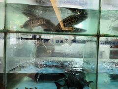 -忘情水鱼头·鲜鱼火锅(滨江中路店)