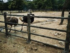 -西安秦岭野生动物园