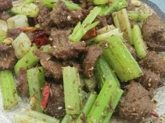 -五台山正觉全素斋