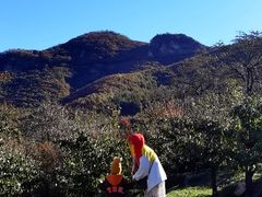 -大连天门山国家森林公园