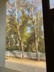 -皇家月府月子中心(沈阳店)