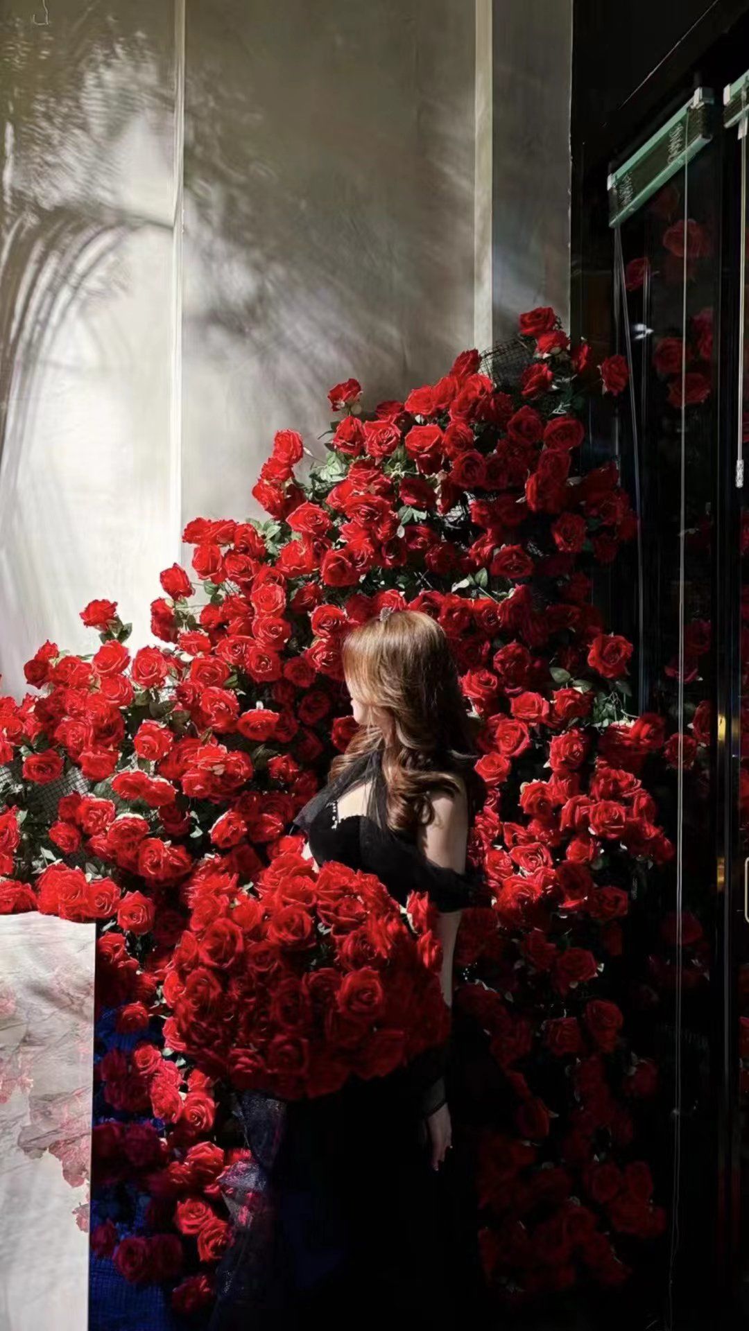 玫瑰花墙美翻天
