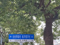 -七宝古镇