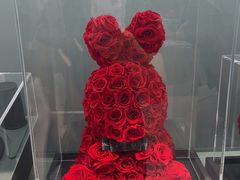 -ROSEONLY诺誓(国际广场购物中心店)