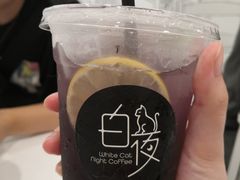 -白夜2D咖啡馆