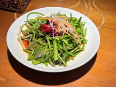 -菌自由丨野生菌火锅特色庭院餐厅(丽江古城店)