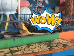 -兴芮温泉度假区