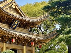 -上海东林寺(金山区)
