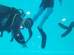 -上海潜殿潜水中心