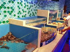 水产区-乔哥铭洋海鲜自助(皇城恒隆广场店)