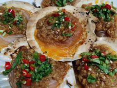 炭烤扇贝-兆辉木炭海鲜烧烤·海鲜小炒