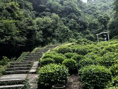 -西湖风景区十里琅珰-五云山