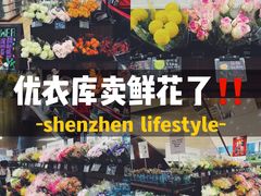 -优衣库(深圳万象天地旗舰店)